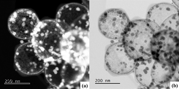 Low-platinum catalyst could make hydrogen production cheaper